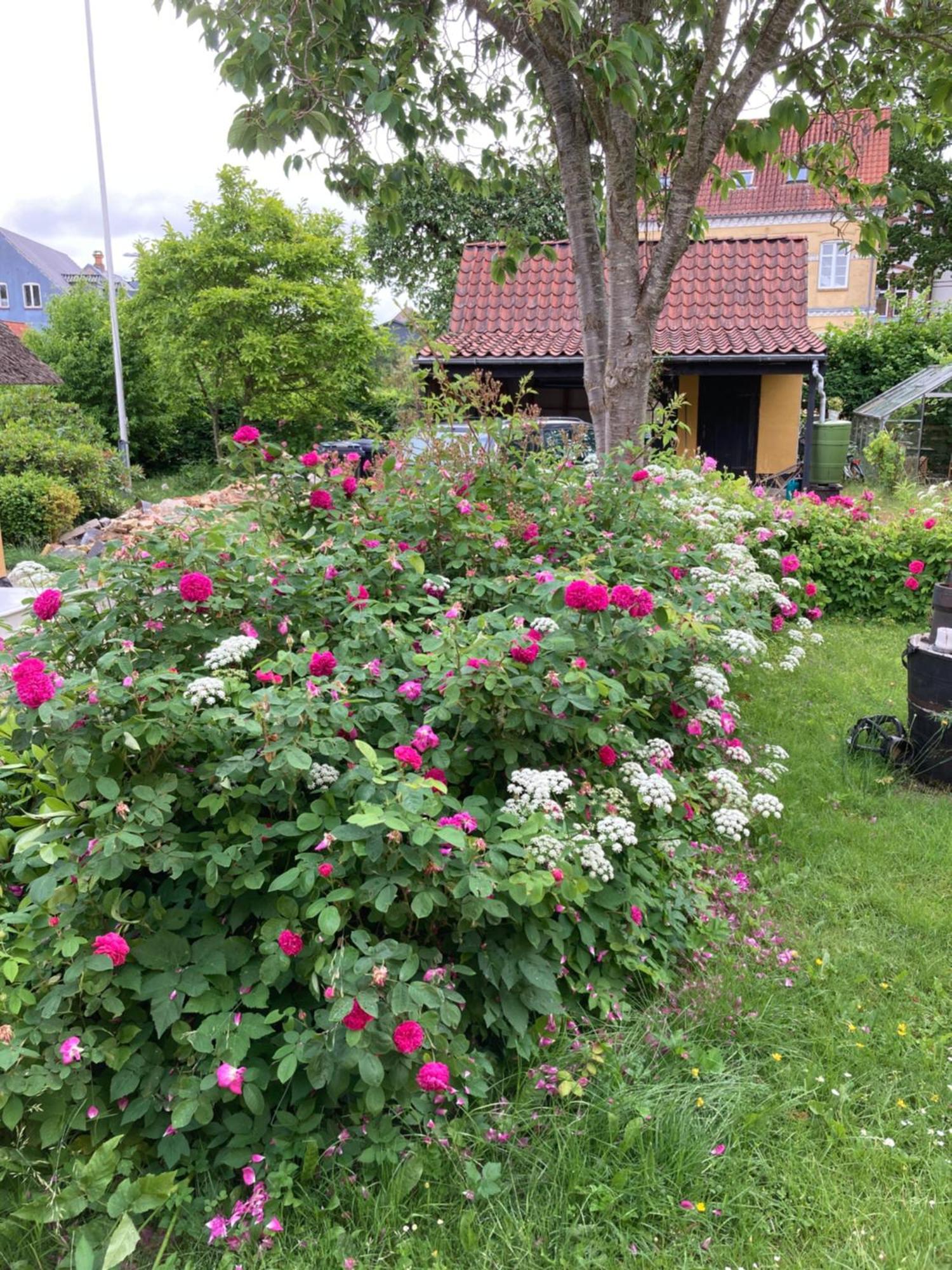 Den Gamle Skomager Hytte Ved Slotssoen Gråsten Εξωτερικό φωτογραφία